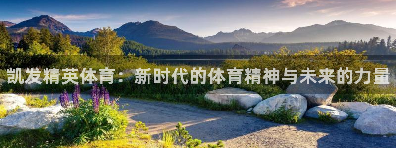 500彩票网平台招商：凯发精英体育：新时代的体育精神与未来的力量
