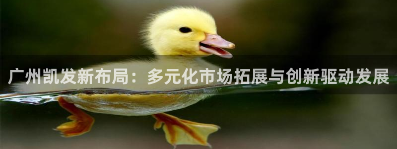 500彩票网代理：广州凯发新布局：多元化市场拓展与创新驱动发展