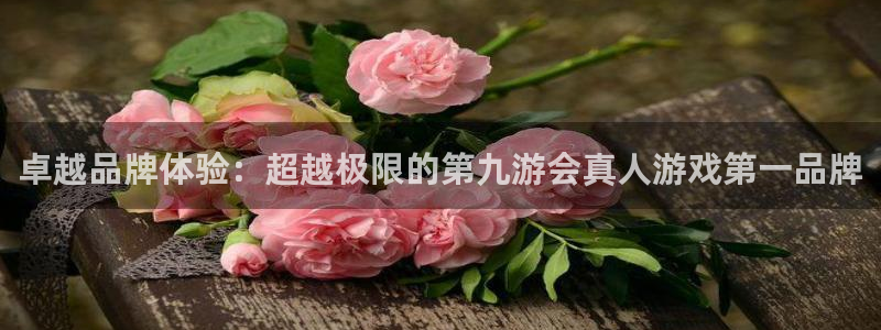 www.500彩票网体育.com：卓越品牌体验：超越极限的第九游会真人游戏第一品