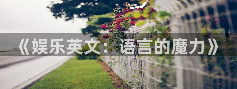 500彩票网注册：《娱乐英文：语言的魔力》