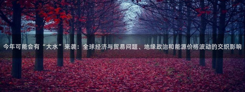 500彩票网平台招商：今年可能会有“大水”来袭：全球经济与贸易问题、地缘政治和能