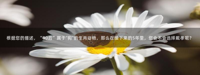 500彩票网3平台注册：根据您的描述，“90后”属于\