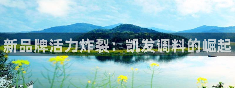 500彩票网2登录地址：新品牌活力炸裂：凯发调料的崛起