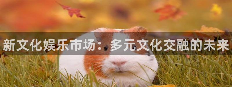500彩票网3官网登录：新文化娱乐市场：多元文化交融的未来