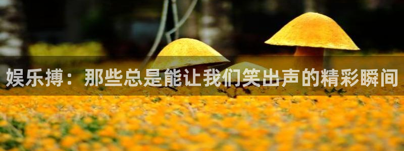500彩票网体育注册登录入口：娱乐搏：那些总是能让我们笑出声的精彩瞬间