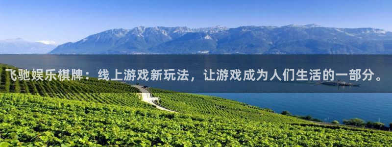 500彩票网股份：飞驰娱乐棋牌：线上游戏新玩法，让游戏成为人们生活的一部分。