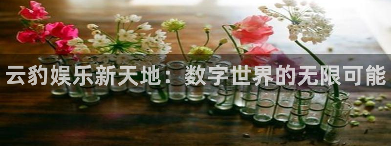 500彩票网体育eon：云豹娱乐新天地：数字世界的无限可能