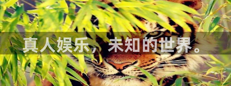 500彩票网平台总代理：真人娱乐，未知的世界。