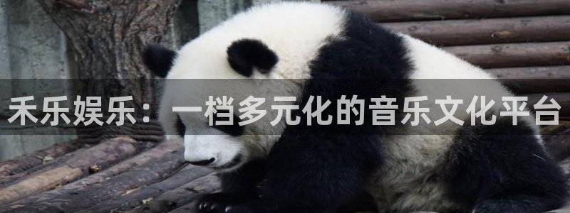 500彩票网主管：禾乐娱乐：一档多元化的音乐文化平台