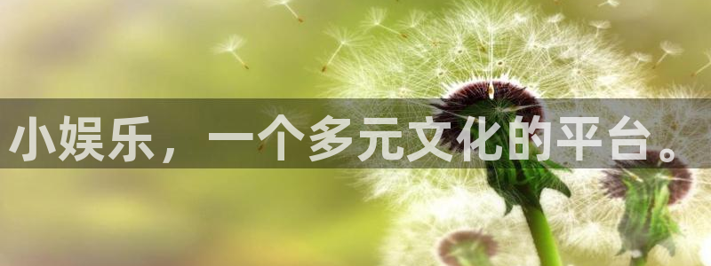 500彩票网注册：小娱乐，一个多元文化的平台。