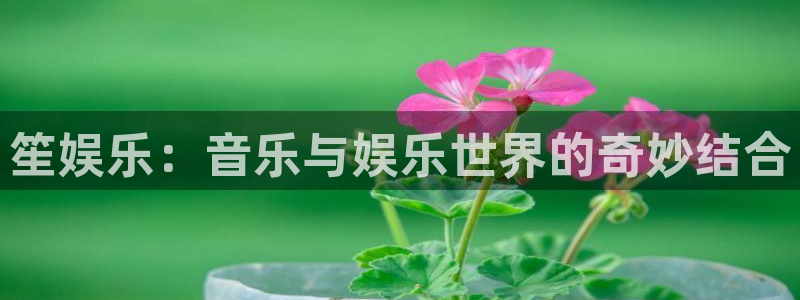 500彩票网3登陆：笙娱乐：音乐与娱乐世界的奇妙结合