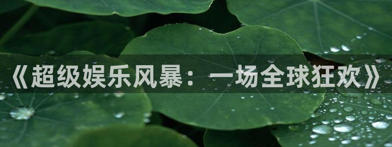 500彩票网体育代理申请流程：《超级娱乐风暴：一场全球狂欢》