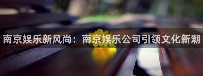 上海500彩票网汽车电子有限公司：南京娱乐新风尚：南京娱乐公司引领文化新潮