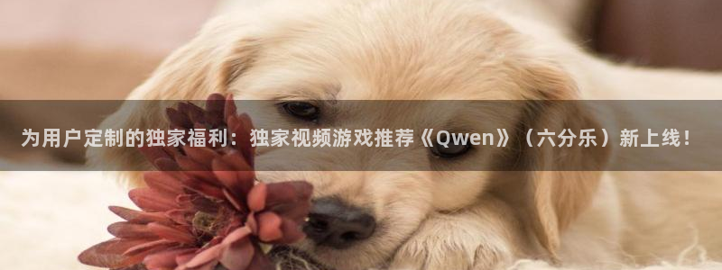 500彩票网平台：为用户定制的独家福利：独家视频游戏推荐《Qwen》（六分乐）新