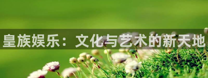 500彩票网招商：皇族娱乐：文化与艺术的新天地