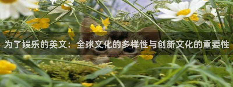 500彩票网体育官网：为了娱乐的英文：全球文化的多样性与创新文化的重要性